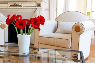 Capitão Zeferino: 7 dicas para você decorar sua casa com lindas flores
