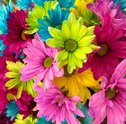 Dicas de decoração para arrasar na Primavera