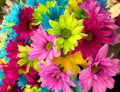 Dicas de decoração para arrasar na Primavera