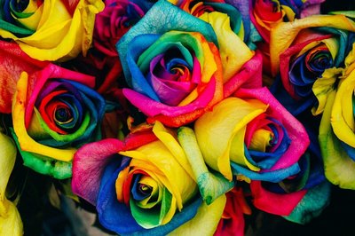 Como fazer flores tie dye com a Giuliana Flores