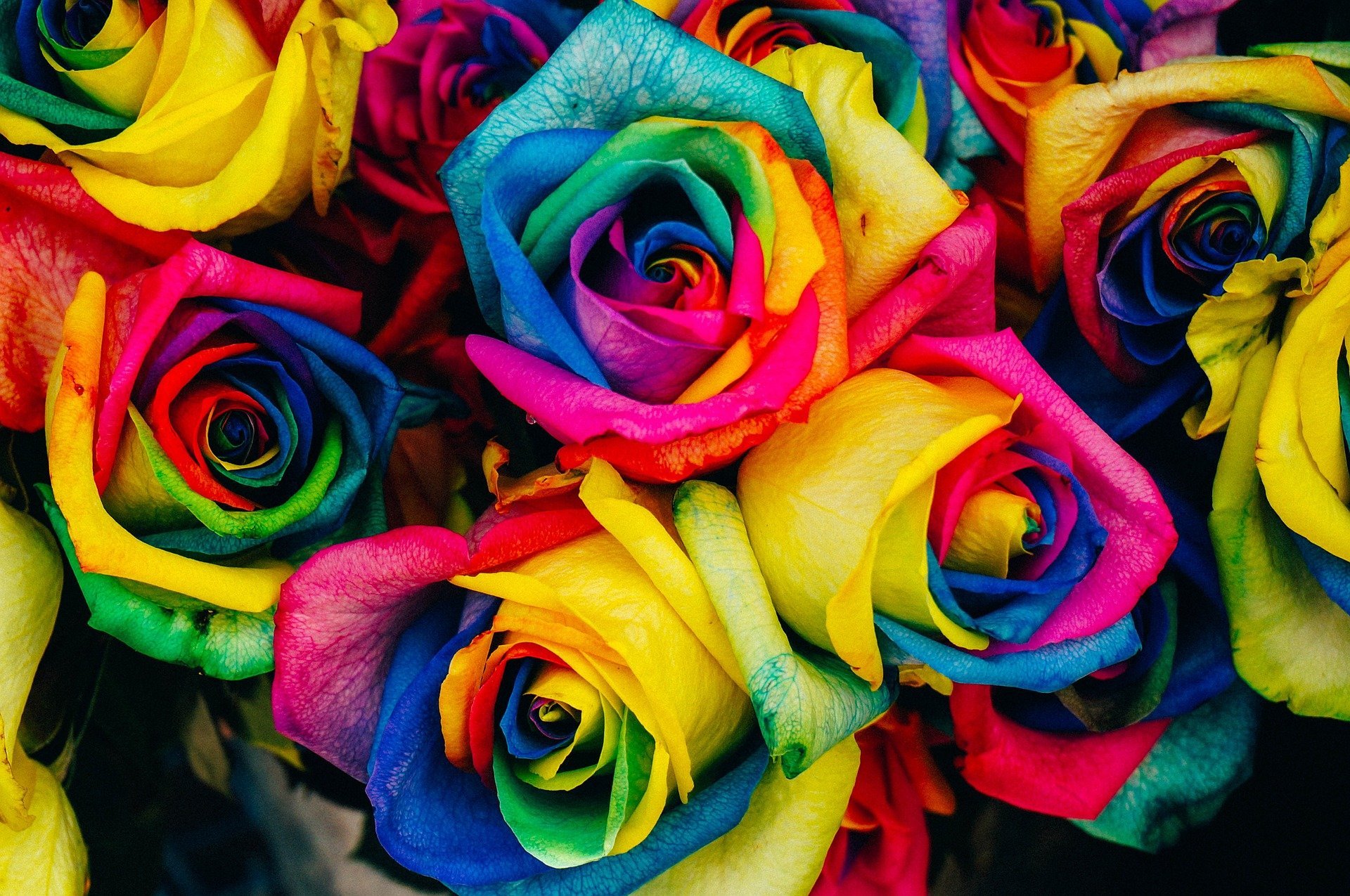 Como fazer flores tie dye com a Giuliana Flores
