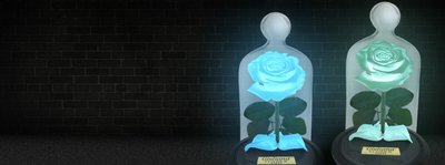 As Rosas Encantadas Neon, um lançamento Giuliana Flores