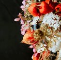Desidratar Flores | Veja como fazer em casa