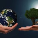 Conheça o Dia Mundial do Meio Ambiente