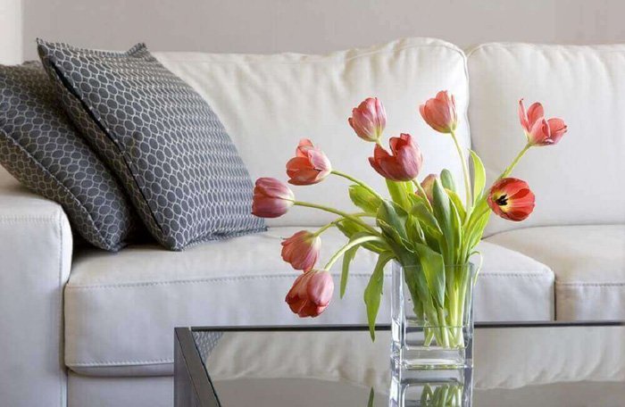 Tipos de Flores para Decorar a Casa