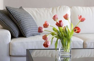 Tipos de Flores para Decorar a Casa