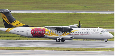 Você sabia que a Giu já envelopou um avião?