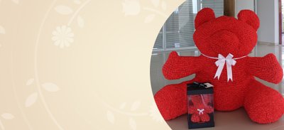 Você sabia que a Giuliana Flores já fez um Teddy Flowers de quase 1 metro?