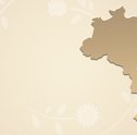 Você sabe quantas cidades (ou estados) são atendidos pela Giuliana Flores?