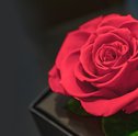 4 presentes que são sucesso na Giuliana Flores