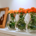 Como conservar o buquê de flores por mais tempo