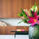 Tipos de flores da primavera para cultivar no jardim de casa