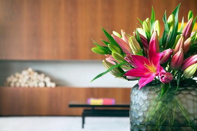 Tipos de flores da primavera para cultivar no jardim de casa