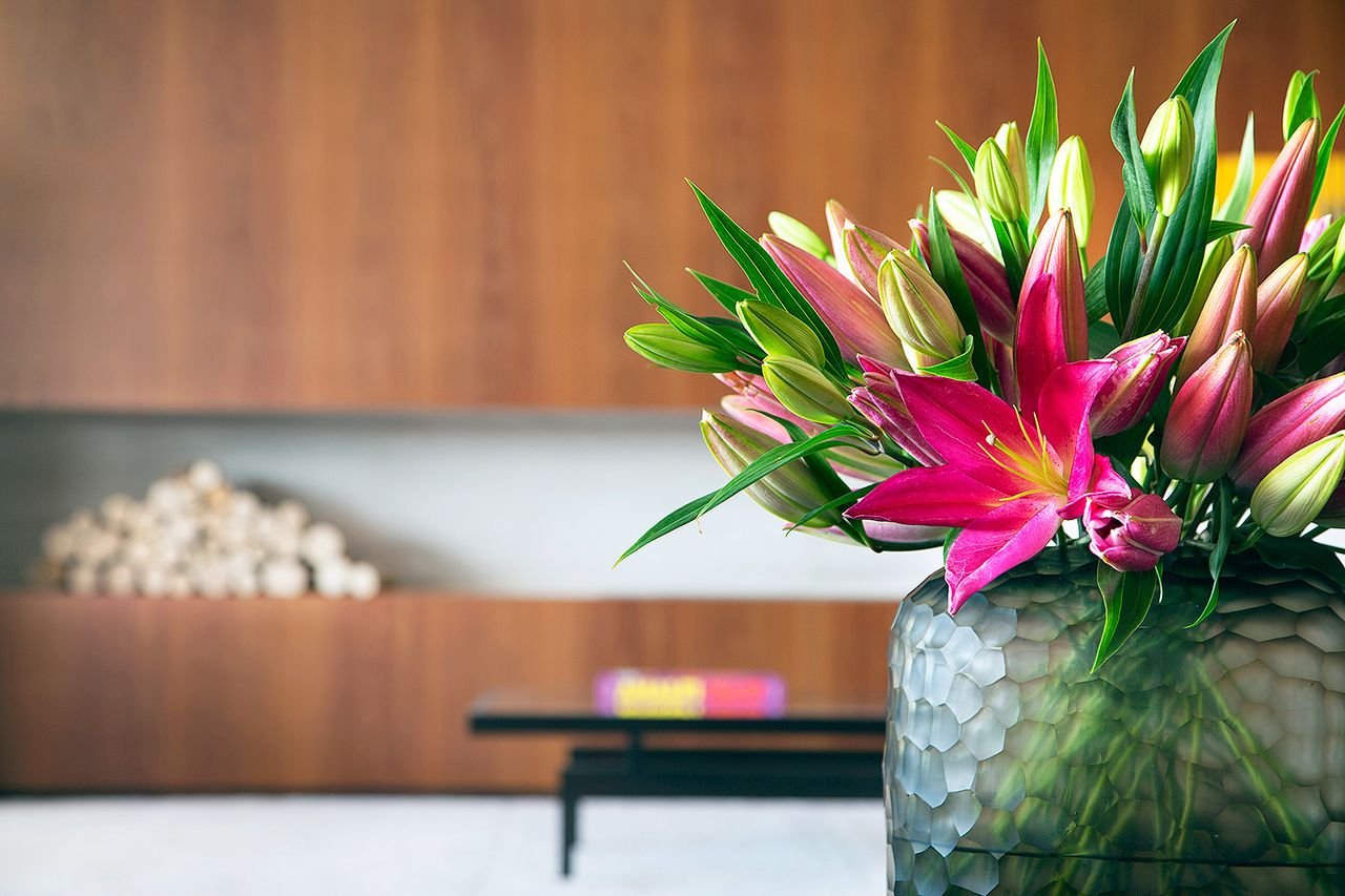 Tipos de flores da primavera para cultivar no jardim de casa