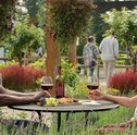 Virgen River 4 Temporada: Jardins e paisagens são de tirar o fôlego