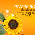 Teste Compre Girassol