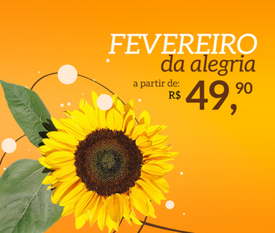 Teste Compre Girassol