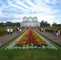 Envie Flores para Curitiba e Todo o Território Nacional