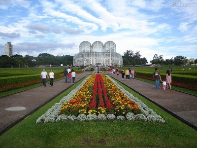 Envie Flores para Curitiba e Todo o Território Nacional