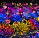 7 tendências de flores e plantas