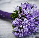 Descubra o significado de presentear com flores do campo