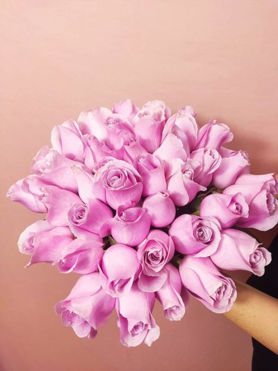 Significado das rosas: conheça o simbolismo por trás das flores