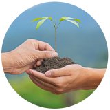 Sustentabilidade