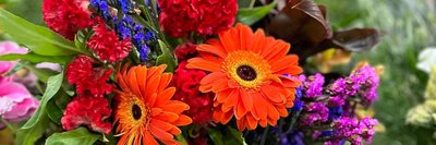 Flower Food: conheça os benefícios do super nutriente para suas flores