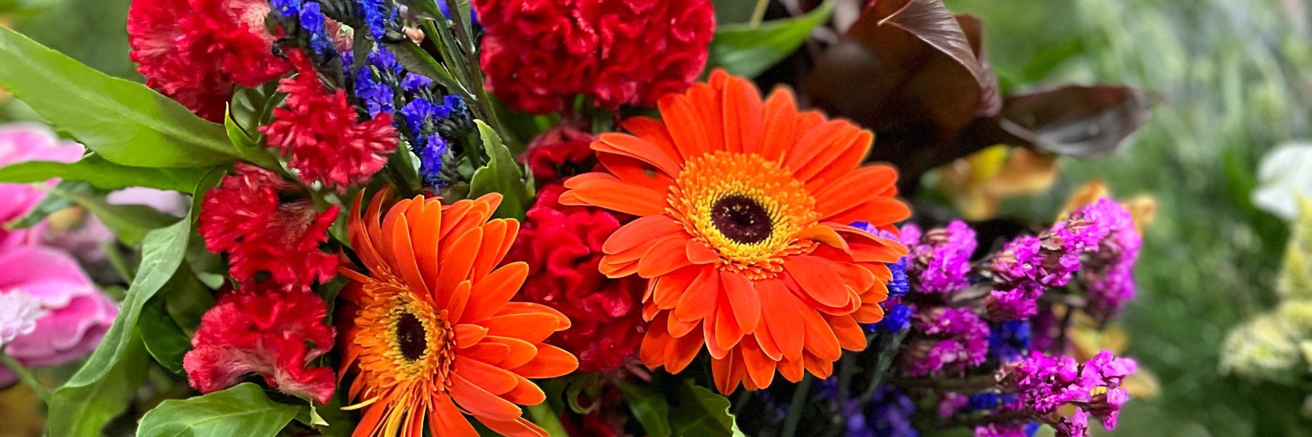 Flower Food: conheça os benefícios do super nutriente para suas flores