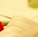 Banho de Rosas Vermelhas: Benefícios e Como Fazer