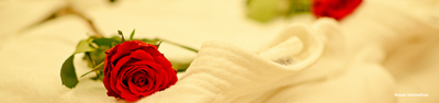 Banho de Rosas Vermelhas: Benefícios e Como Fazer