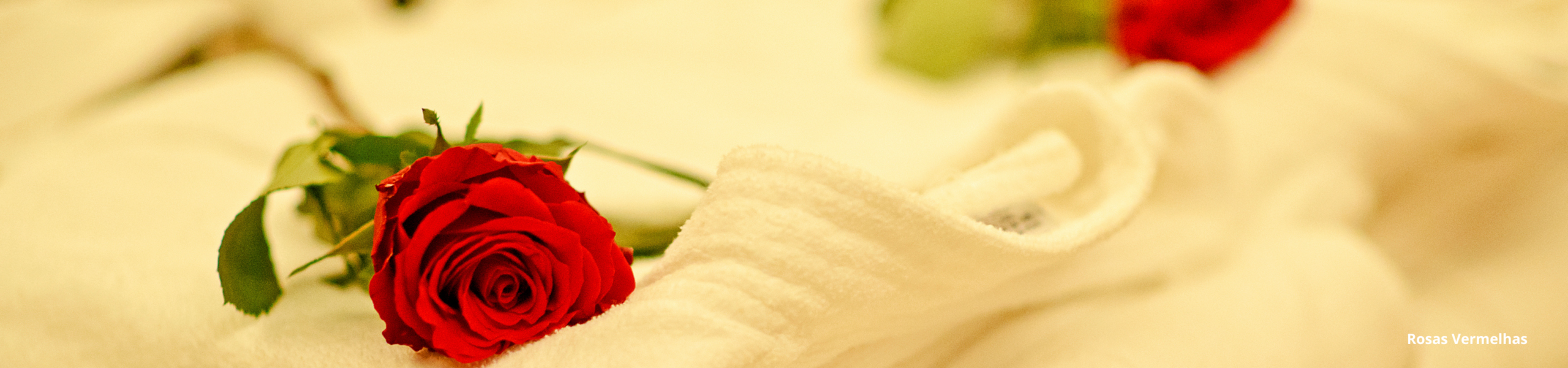 Banho de Rosas Vermelhas: Benefícios e Como Fazer