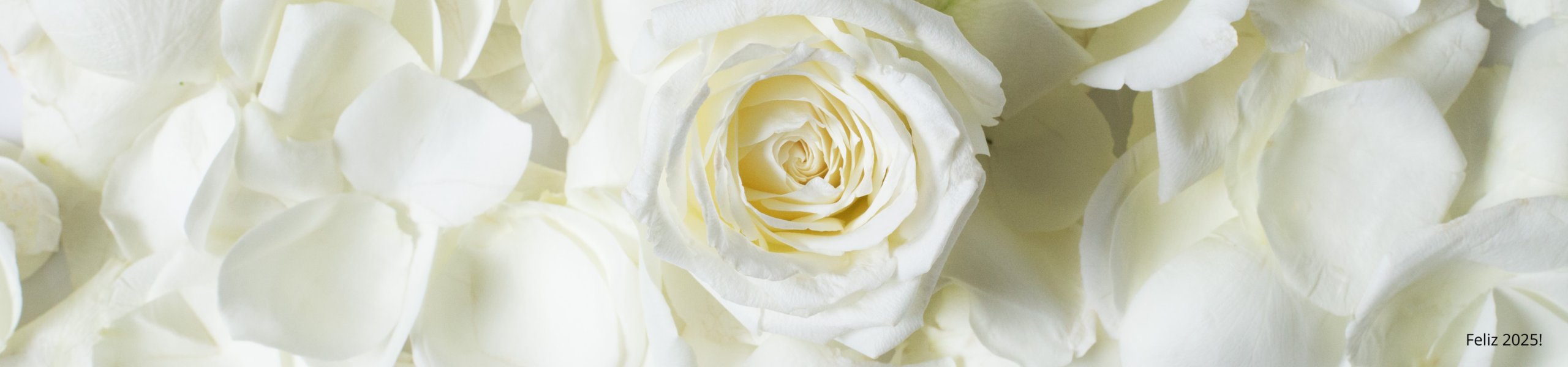 Flores para Decorar a Mesa de Ano Novo: Significados e Dicas para uma Decoração Elegante