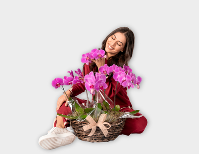 Descubra as 5 Linguagens do Amor