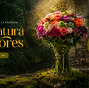 Jardim secreto: mood de Março do Clube da Giu