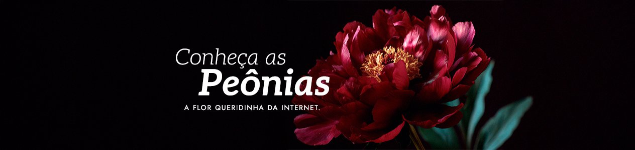 Peônias: tudo sobre a flor queridinha do momento