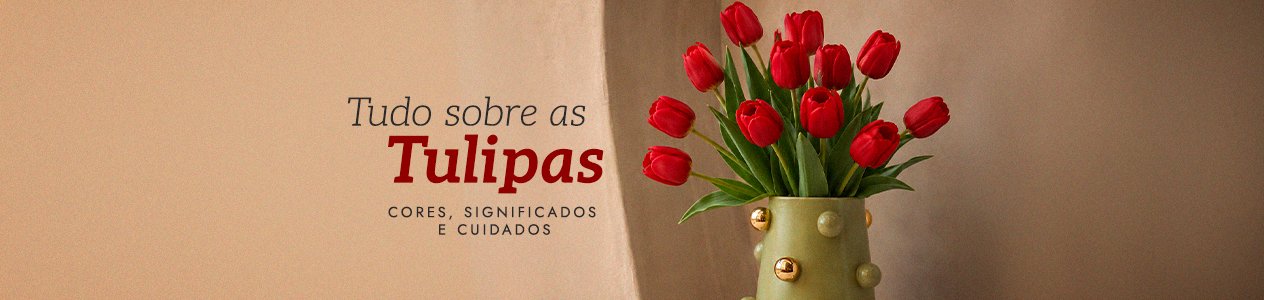 Tulipas: guia de cores, significados e cuidados