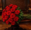 Rosas: guia completo de cores, tipos e significados