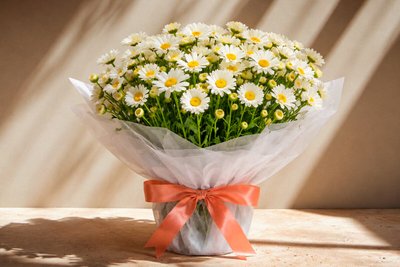 Margarida: significado e curiosidades da flor mais simples e amada