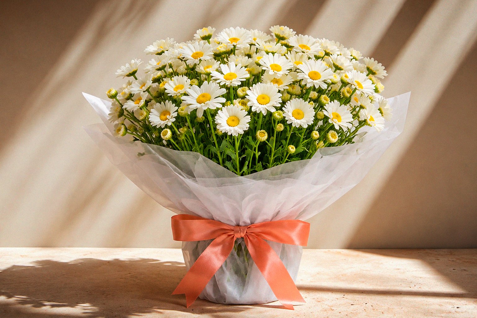 Margarida: significado e curiosidades da flor mais simples e amada