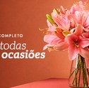 Mensagens e frases para ocasiões especiais: encontre as palavras certas