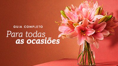 Mensagens e frases para ocasiões especiais: encontre as palavras certas