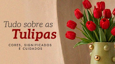 Tulipas: guia de cores, significados e cuidados