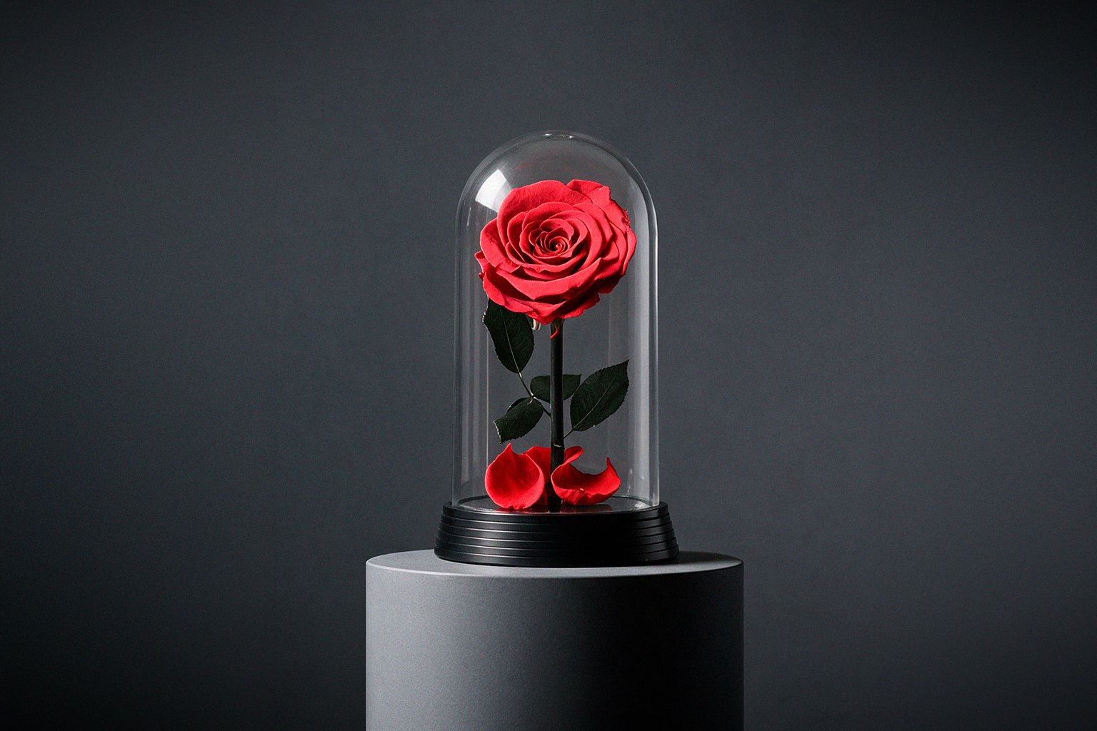 Flor eterna ou permanente: vale a pena investir nesse tipo de flor?
